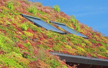 Dullingham living roof systems