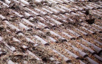 Dullingham roof cleaning companies